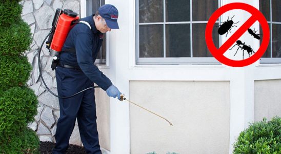 Altınekin Böcek ve Haşere İlaçlama böcek ilaçlama ve haşere kontrolü — ilaclama-tr.com